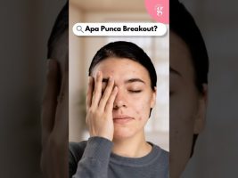 Aap Punca Utama Breakout?