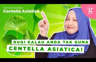 Manfaat Centella Asiatica Untuk Kulit Sensitif Dan Cenderung Berjerawat