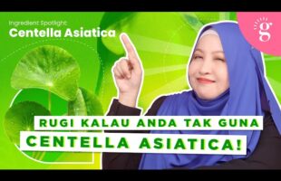 Manfaat Centella Asiatica Untuk Kulit Sensitif Dan Cenderung Berjerawat